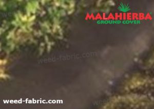weed fabric installed on crops in garden